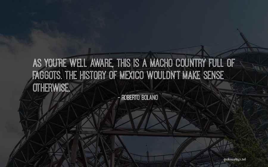 Cobardia In English Quotes By Roberto Bolano Cobardia In English Quotes By Roberto Bolano