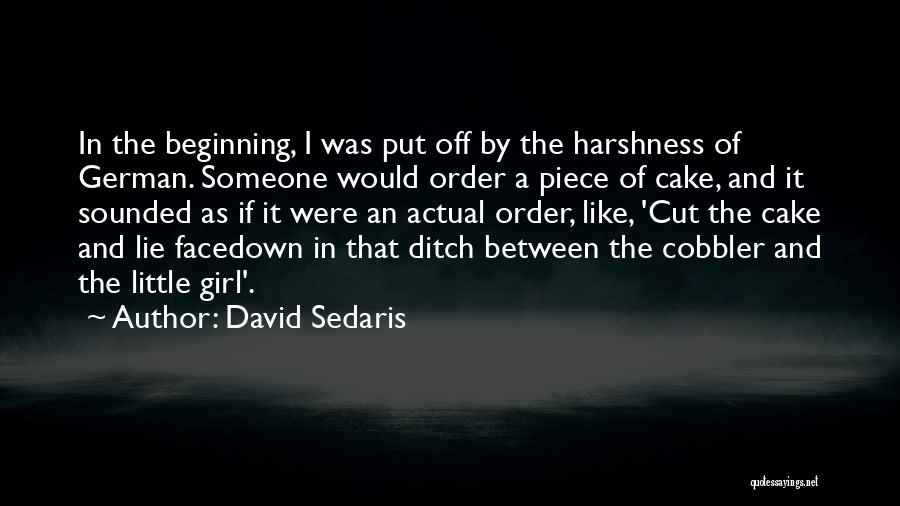 Cobbler Quotes By David Sedaris