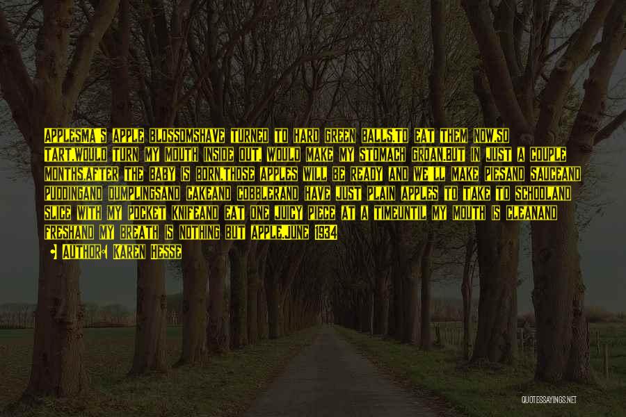 Cobbler Quotes By Karen Hesse Cobbler Quotes By Karen Hesse