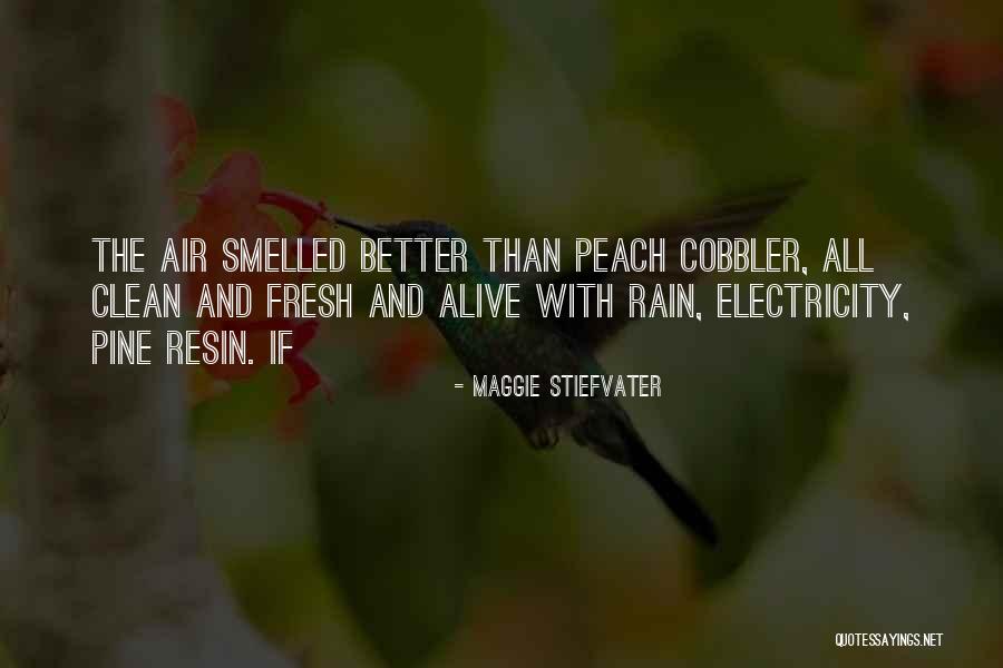 Cobbler Quotes By Maggie Stiefvater