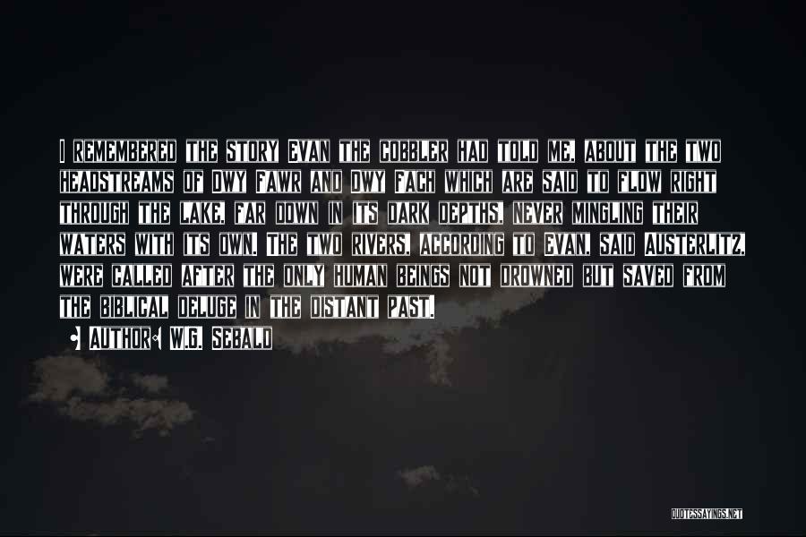 Cobbler Quotes By W.G. Sebald Cobbler Quotes By W.G. Sebald