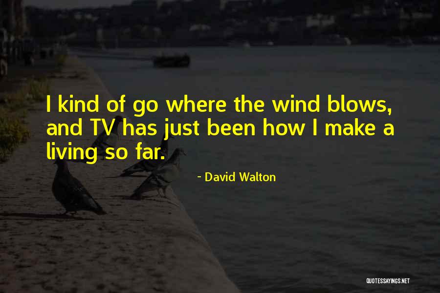 Cobena Business Quotes By David Walton