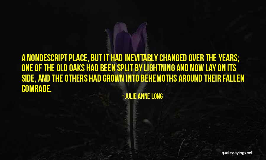 Cobertizo In English Quotes By Julie Anne Long Cobertizo In English Quotes By Julie Anne Long