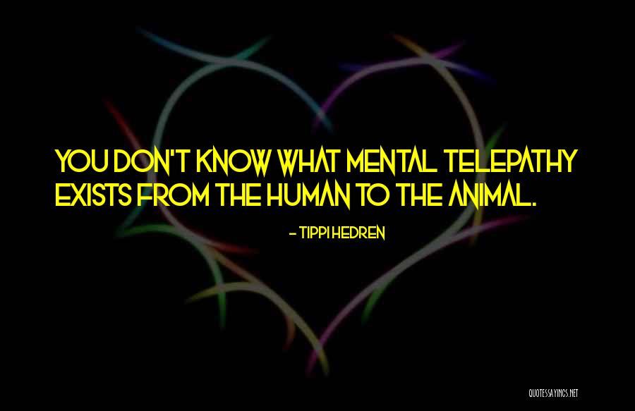 Cobertor San Marcos Quotes By Tippi Hedren Cobertor San Marcos Quotes By Tippi Hedren