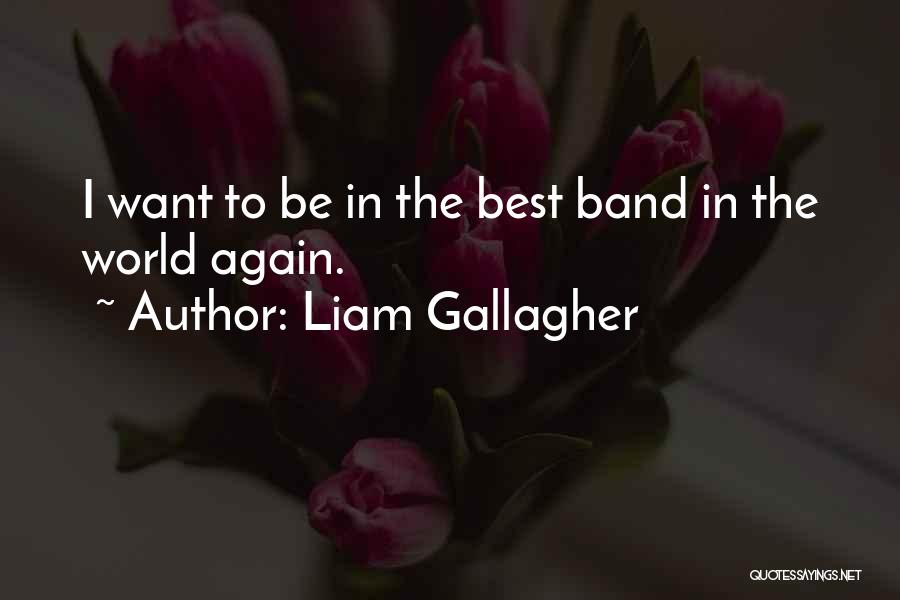 Cobori Cobori Quotes By Liam Gallagher