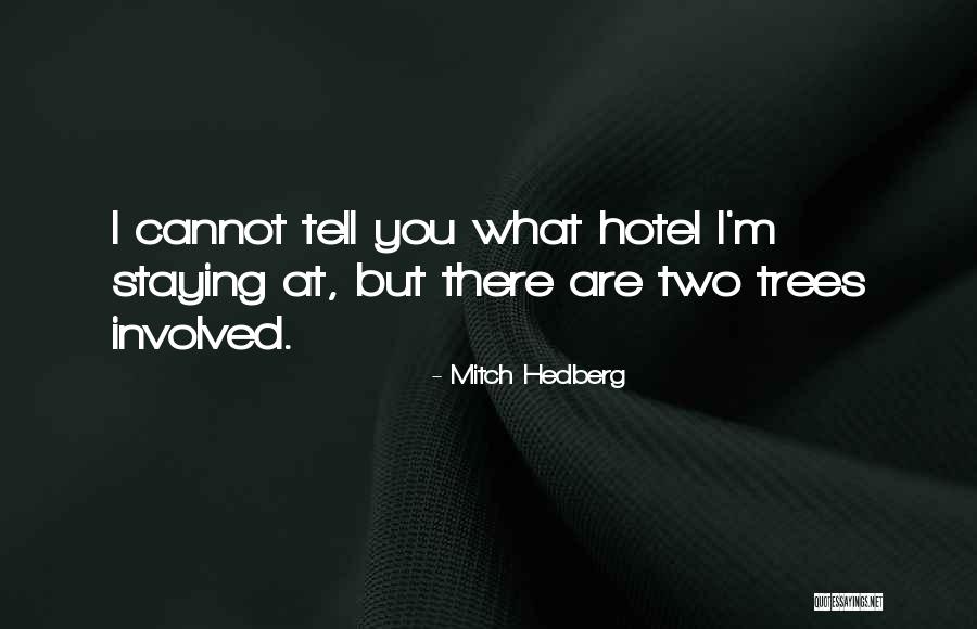 Cobwebbing Paint Quotes By Mitch Hedberg Cobwebbing Paint Quotes By Mitch Hedberg