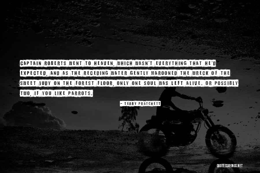 Cobzariu Ilie Quotes By Terry Pratchett Cobzariu Ilie Quotes By Terry Pratchett
