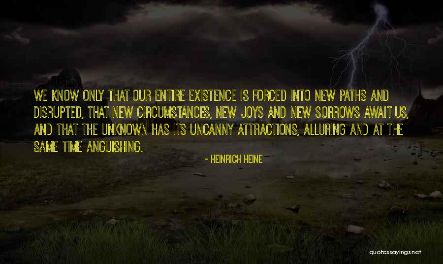 Cocaine Use Quotes By Heinrich Heine Cocaine Use Quotes By Heinrich Heine