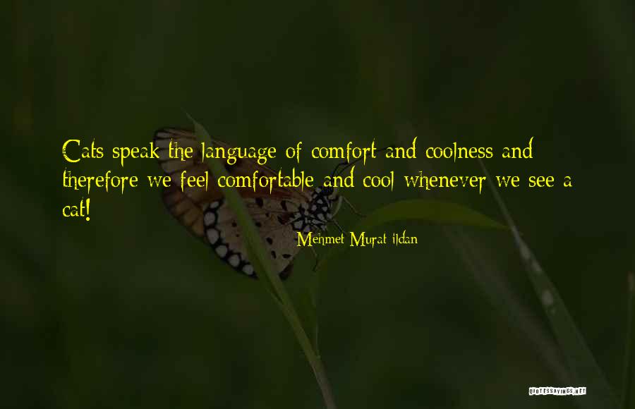 Coccoli Pajamas Quotes By Mehmet Murat Ildan Coccoli Pajamas Quotes By Mehmet Murat Ildan