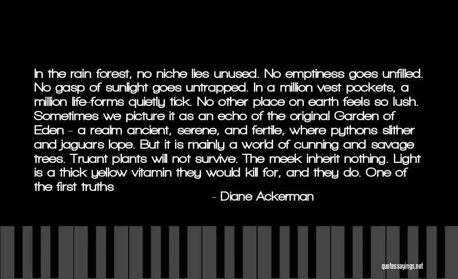 Cochabamba City Quotes By Diane Ackerman Cochabamba City Quotes By Diane Ackerman