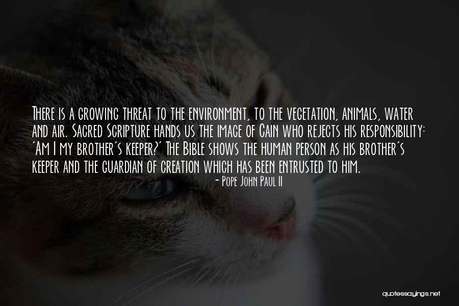 Cochilia Melcului Quotes By Pope John Paul II Cochilia Melcului Quotes By Pope John Paul II