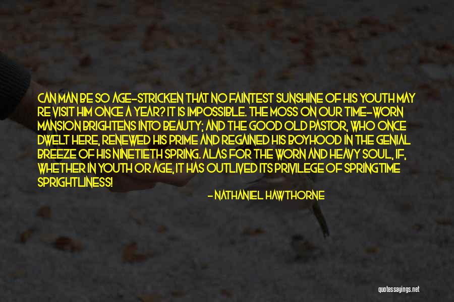 Cochilii Melci Quotes By Nathaniel Hawthorne Cochilii Melci Quotes By Nathaniel Hawthorne