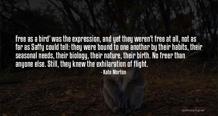 Cocido O Cocido Quotes By Kate Morton Cocido O Cocido Quotes By Kate Morton