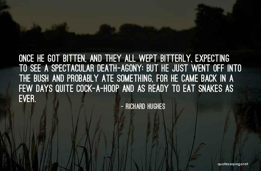 Cock Quotes By Richard Hughes Cock Quotes By Richard Hughes