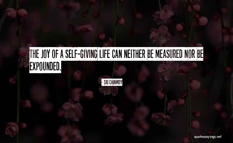 Cockfights Youtube Quotes By Sri Chinmoy Cockfights Youtube Quotes By Sri Chinmoy