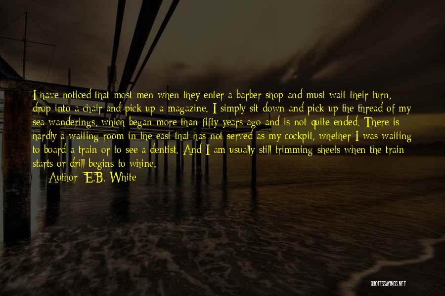 Cockpit Quotes By E.B. White