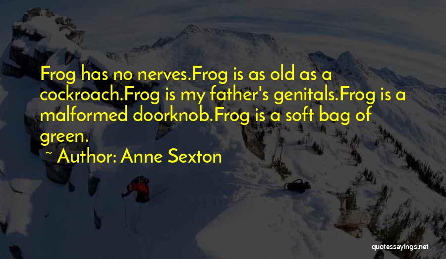 Cockroach Quotes By Anne Sexton