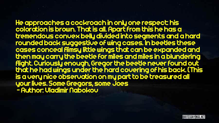 Cockroach Quotes By Vladimir Nabokov
