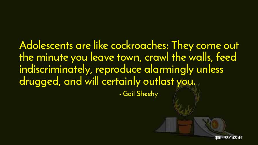 Cockroaches Quotes By Gail Sheehy Cockroaches Quotes By Gail Sheehy