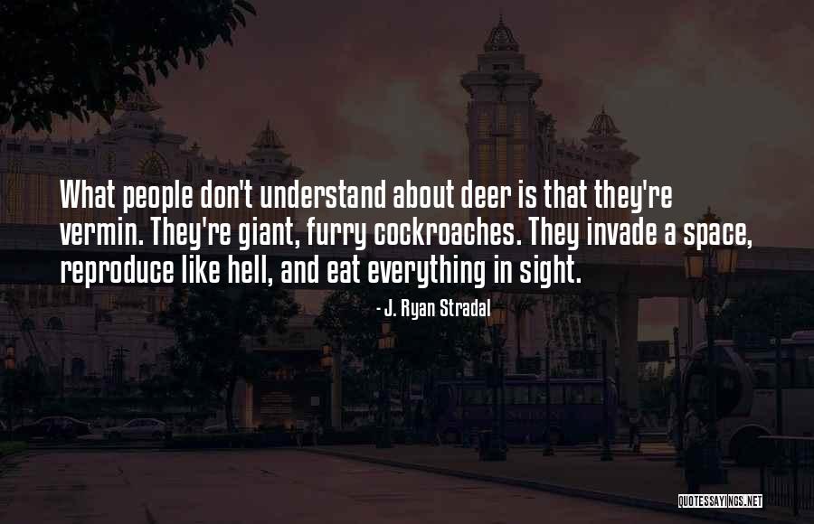 Cockroaches Quotes By J. Ryan Stradal Cockroaches Quotes By J. Ryan Stradal