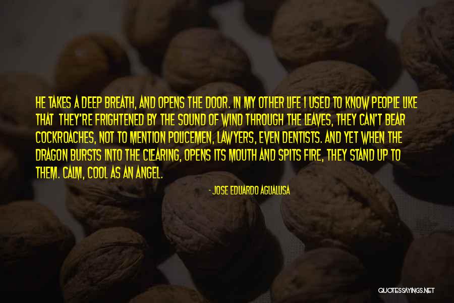 Cockroaches Quotes By Jose Eduardo Agualusa Cockroaches Quotes By Jose Eduardo Agualusa