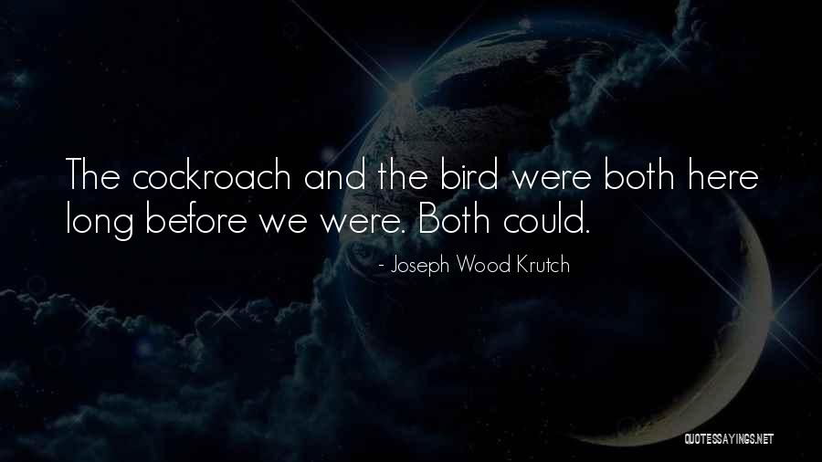 Cockroaches Quotes By Joseph Wood Krutch Cockroaches Quotes By Joseph Wood Krutch