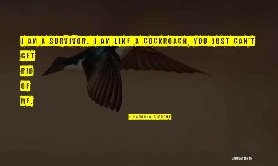 Cockroaches Quotes By Madonna Ciccone Cockroaches Quotes By Madonna Ciccone