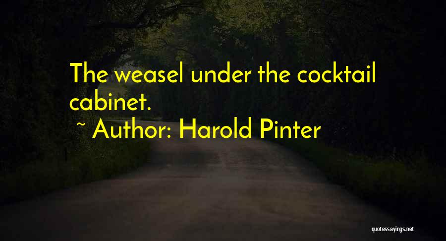 Cocktails Quotes By Harold Pinter