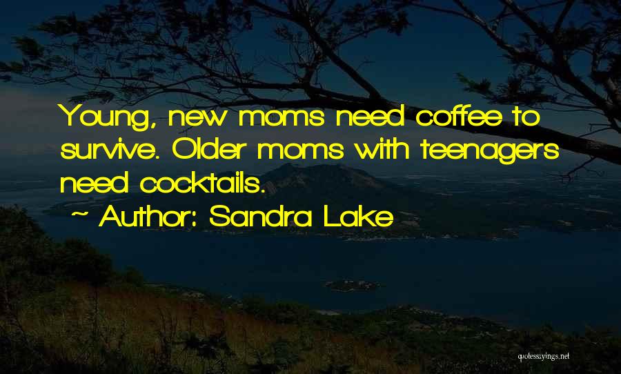 Cocktails Quotes By Sandra Lake