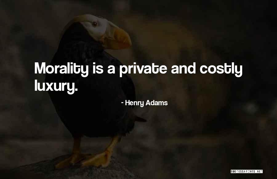 Cocomero Asinino Quotes By Henry Adams Cocomero Asinino Quotes By Henry Adams