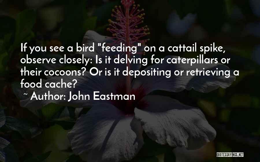 Cocoons Quotes By John Eastman