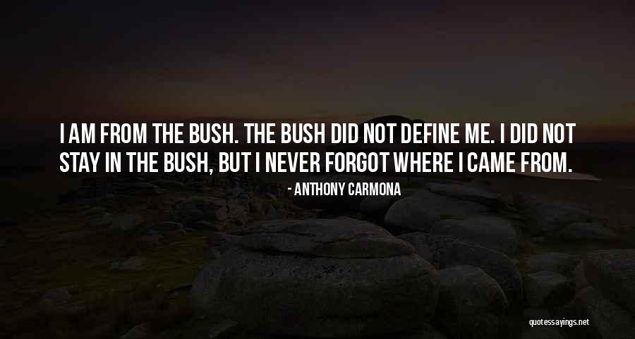 Cocreator Of How I Met Quotes By Anthony Carmona Cocreator Of How I Met Quotes By Anthony Carmona