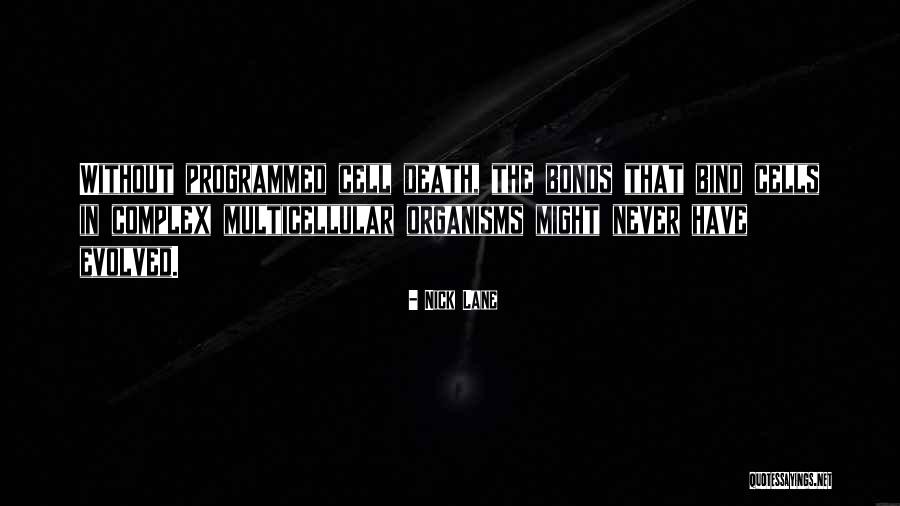 Cod 2 Death Quotes By Nick Lane Cod 2 Death Quotes By Nick Lane
