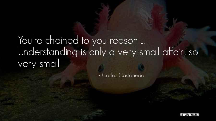Code Red Quotes By Carlos Castaneda Code Red Quotes By Carlos Castaneda