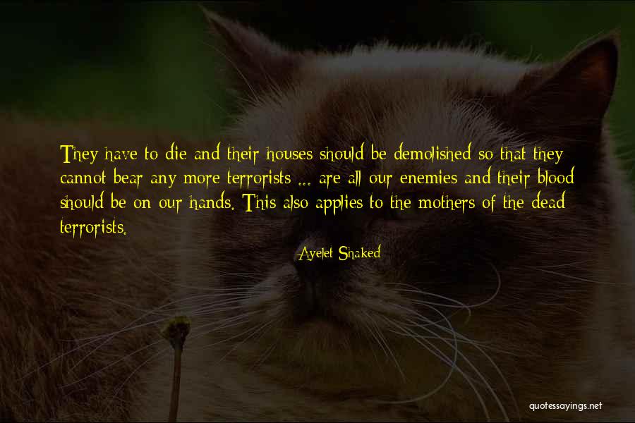 Code Theory Quotes By Ayelet Shaked Code Theory Quotes By Ayelet Shaked