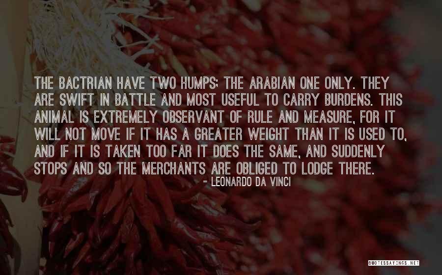 Codeine Side Quotes By Leonardo Da Vinci Codeine Side Quotes By Leonardo Da Vinci