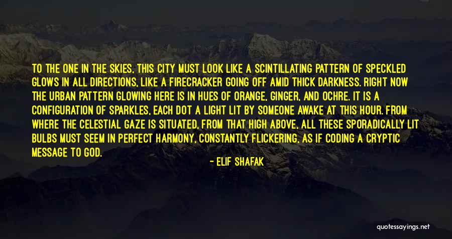 Coding Life Quotes By Elif Shafak