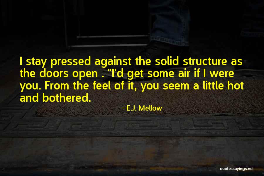 Codis Quotes By E.J. Mellow Codis Quotes By E.J. Mellow