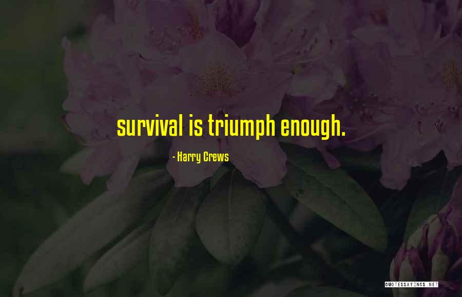 Coelhos Anoes Quotes By Harry Crews Coelhos Anoes Quotes By Harry Crews