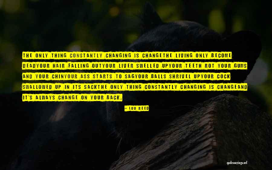 Coelhos Da Quotes By Lou Reed Coelhos Da Quotes By Lou Reed