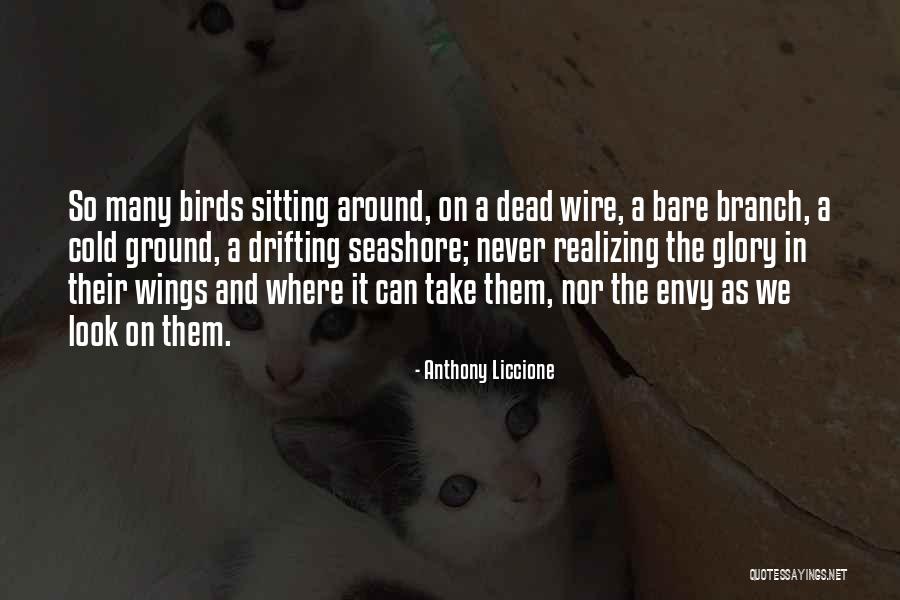 Coens Immo Quotes By Anthony Liccione Coens Immo Quotes By Anthony Liccione
