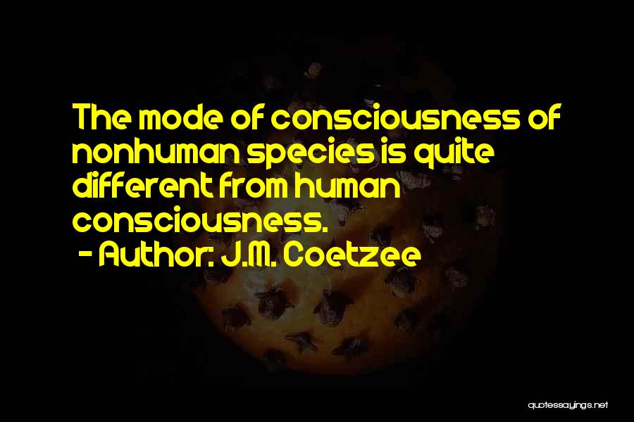 Coetzee Quotes By J.M. Coetzee