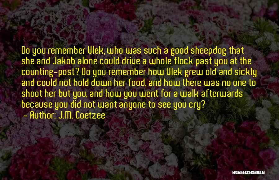 Coetzee Quotes By J.M. Coetzee