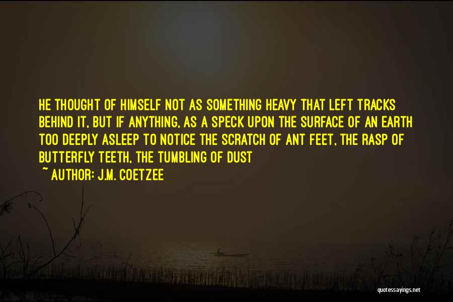 Coetzee Quotes By J.M. Coetzee