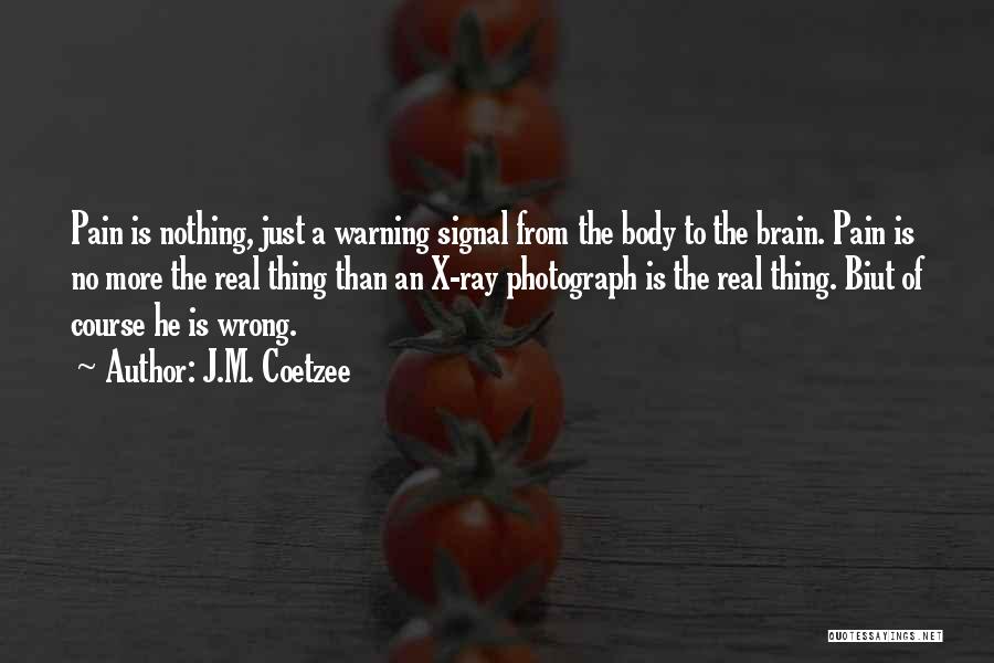 Coetzee Quotes By J.M. Coetzee