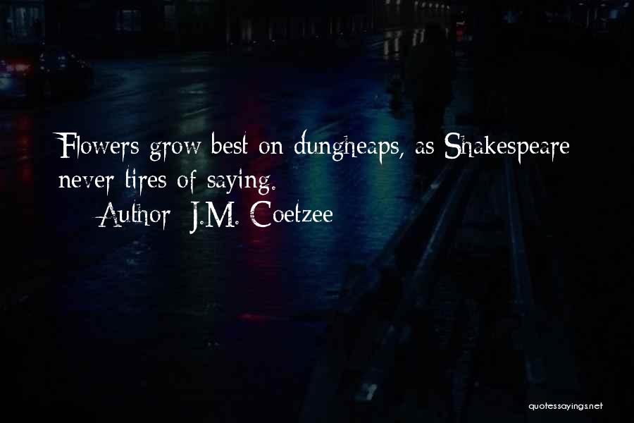 Coetzee Quotes By J.M. Coetzee