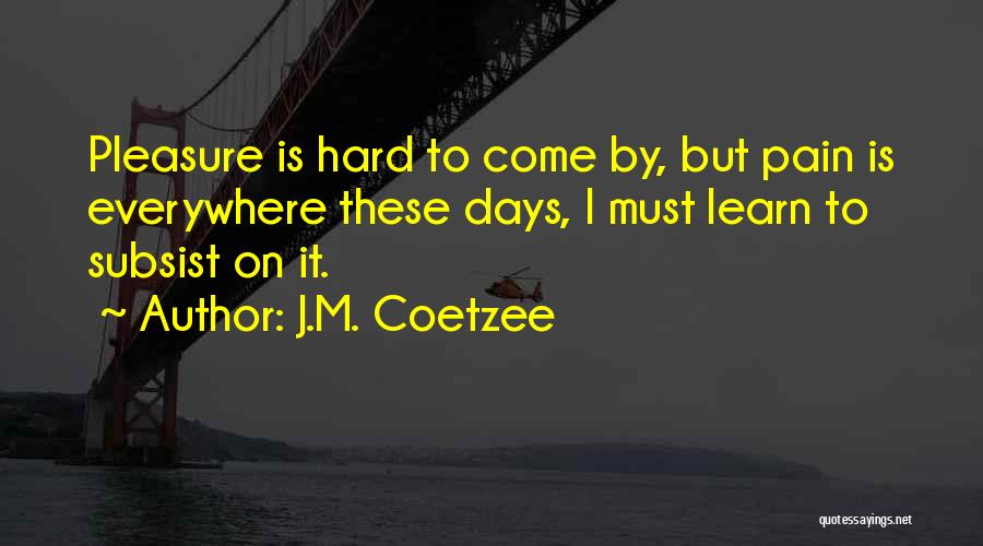 Coetzee Quotes By J.M. Coetzee