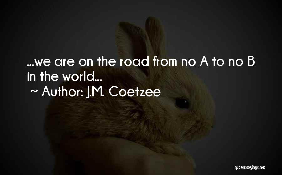 Coetzee Quotes By J.M. Coetzee