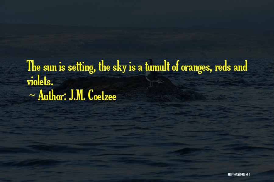 Coetzee Quotes By J.M. Coetzee