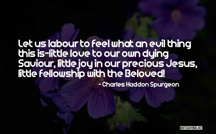 Coexistence Science Quotes By Charles Haddon Spurgeon Coexistence Science Quotes By Charles Haddon Spurgeon